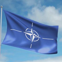 NATO forces will not unblock the Black Sea for Ukrainian exports