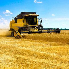 Ukraine exports almost 36 mln tonnes of grain since July 2016