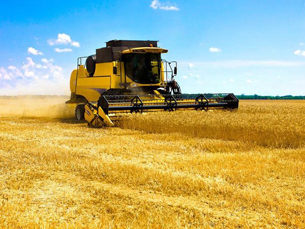 Ukraine harvests over 51 mln tonnes of grain