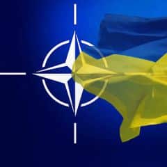 Ukraine, NATO developing rehabilitation programs for veterans of Donbas war