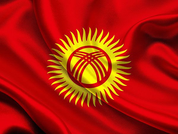 Kyrgyz opposition leader detained – media