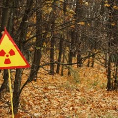 The Russian military disturbed radioactive dust in the highly toxic Red Forest in Chernobyl