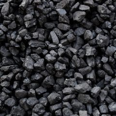 Polish President signed a decree imposing embargo on coal imports from Russia and Belarus