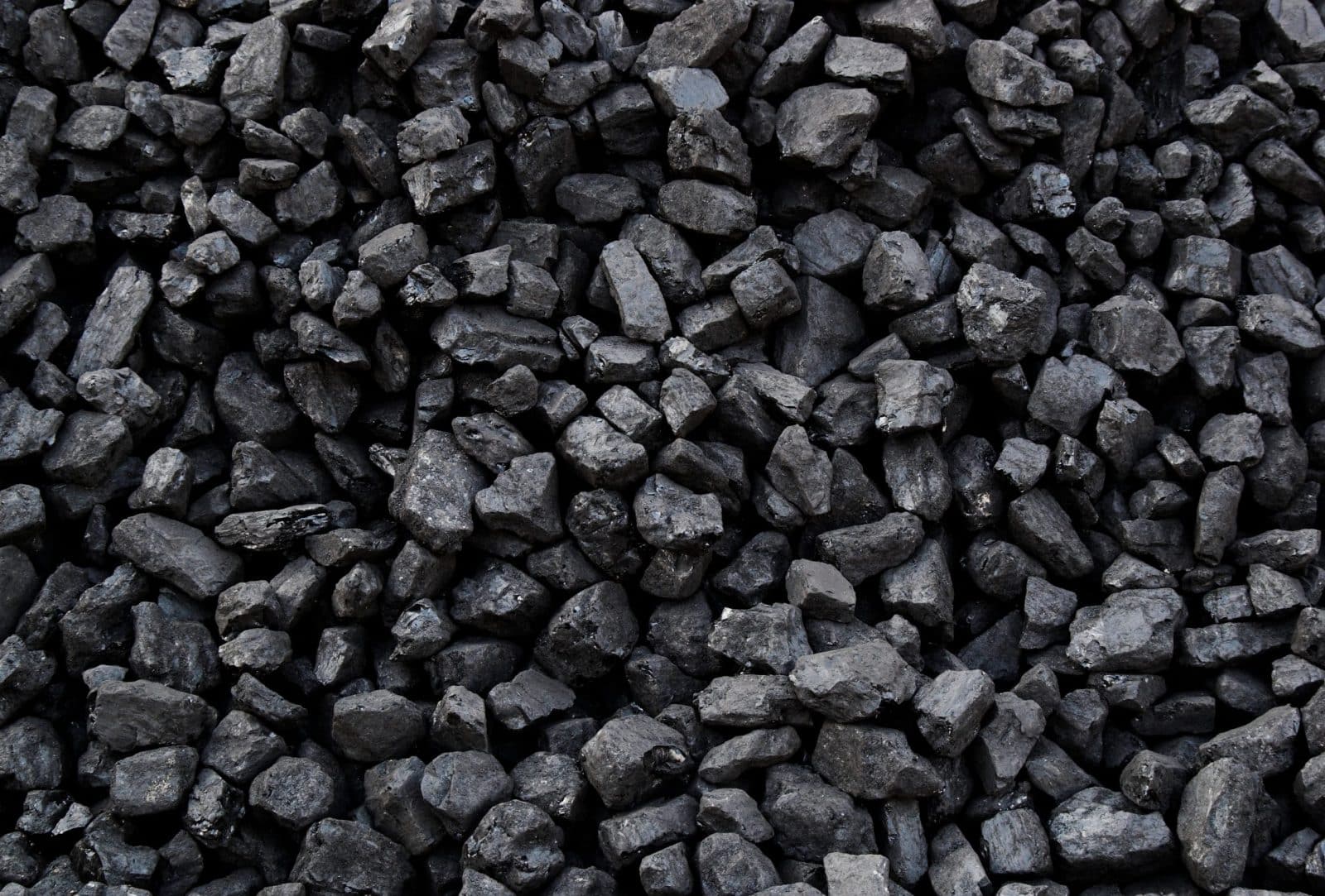 Polish President signed a decree imposing embargo on coal imports from Russia and Belarus