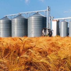 The United States will help build temporary silos for the export of Ukrainian grain