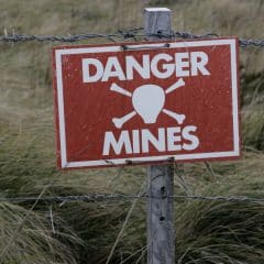 Demining of Ukrainian territories may take from 5 to 10 years