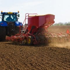 This year Ukraine plans to sow at least 70% of sown areas