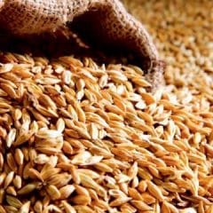 Ukraine, Turkey and the UN signed an agreement on the export of Ukrainian grain