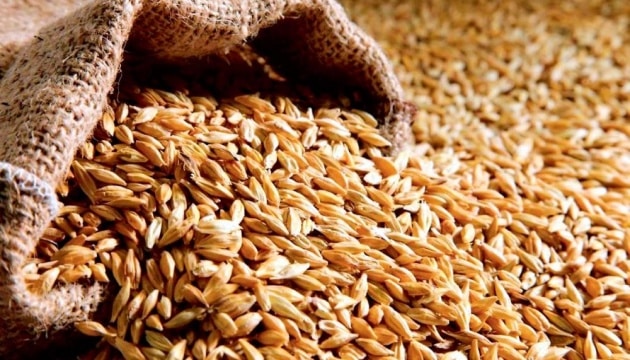 Turkey has announced the establishment of an “operational center” for the export of Ukrainian grain