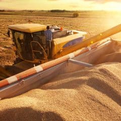 Russians seized 20 grain elevators in Zaporizhzhia due to farmers’ refusal to cooperate