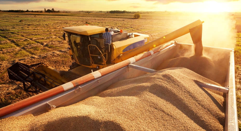 There is some progress regarding the export of Ukrainian grain, – UN Secretary-General