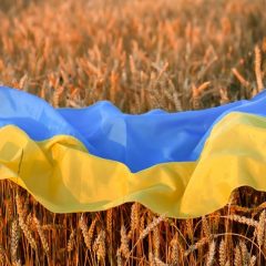 In April, Ukraine exported twice less goods than a year ago, – Prime Minister of Ukraine