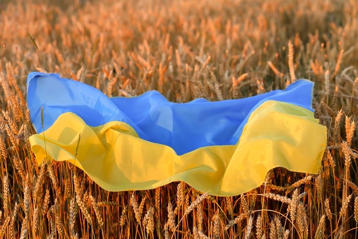 In April, Ukraine exported twice less goods than a year ago, – Prime Minister of Ukraine