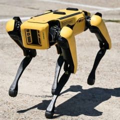 Robot Dog will help Ukraine with demining