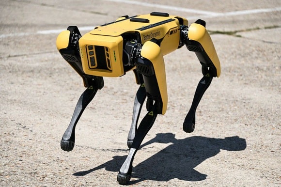 Robot Dog will help Ukraine with demining