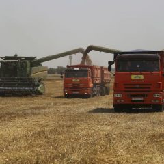 Ukraine lost 40% of the early grain harvest due to the war