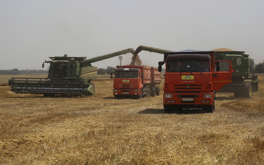 Ukraine expects to harvest at least 50 million tons of grain this year