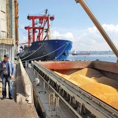 16 ships that will be loaded with grain have already arrived at the ports of Ukraine, – Deputy Minister of Infrastructure of Ukraine