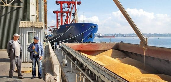 Ukraine has already exported more than 3M tons of grain to African countries