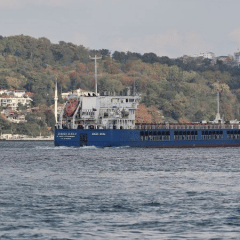 Russian ship carrying stolen Ukrainian grain was detained in Turkey