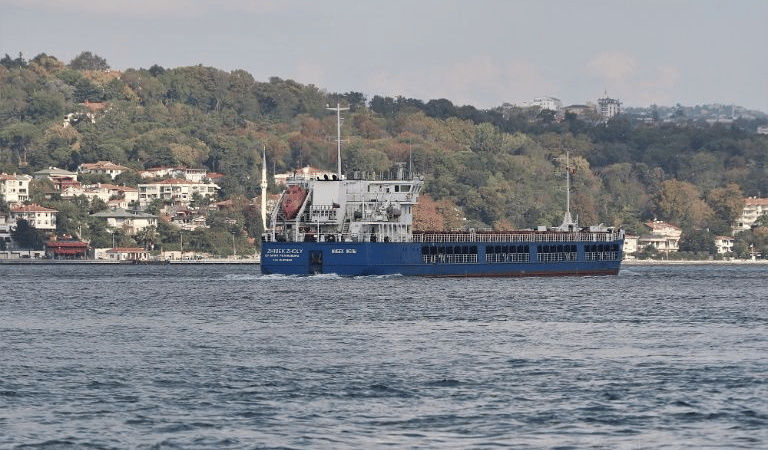 Russian ship carrying stolen Ukrainian grain was detained in Turkey