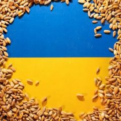 Ukraine grain export coordination centre opened in Istanbul