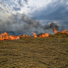 12,000 hectares of fields are mined, more than 400 hectares of crops burned due to enemy shelling in the Dnipropetrovsk region