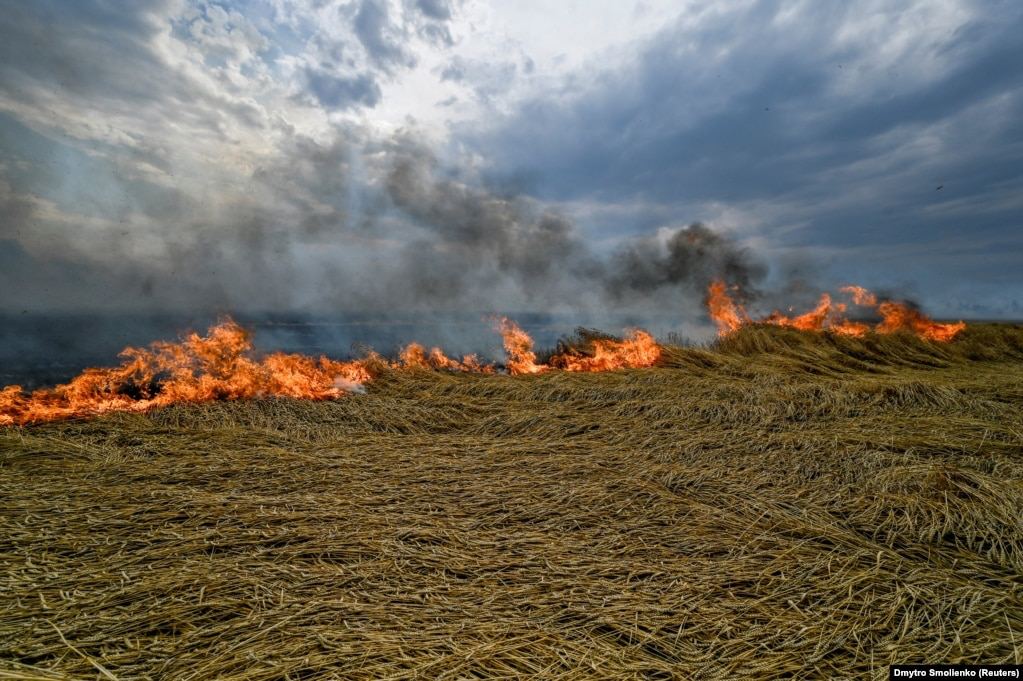 12,000 hectares of fields are mined, more than 400 hectares of crops burned due to enemy shelling in the Dnipropetrovsk region